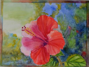 Hibiscus in watercolor