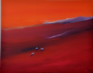 zijn-schaapjes-op-het-droge-hebben2